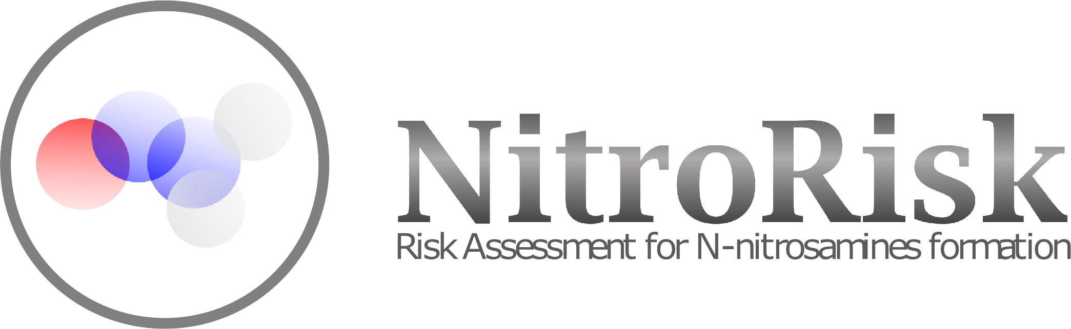 Nitro-Risk logo